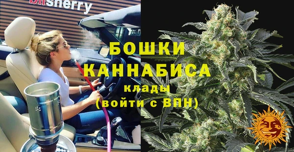 стаф Горнозаводск