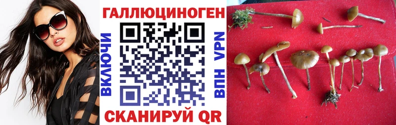 Купить  Буйнакск  Галлюциногенные грибы мухоморы 